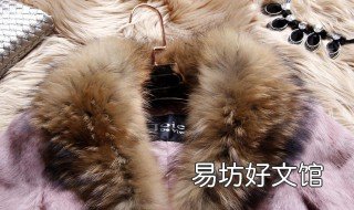 卡兔毛皮草的清洗与保养 獭兔皮草如何保养