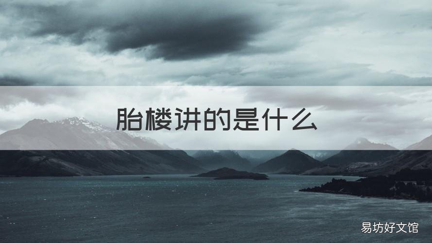 胎楼讲的是什么 小说胎楼好看吗