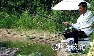 手竿钓鱼调漂技巧 手竿钓鱼调漂的正确方法