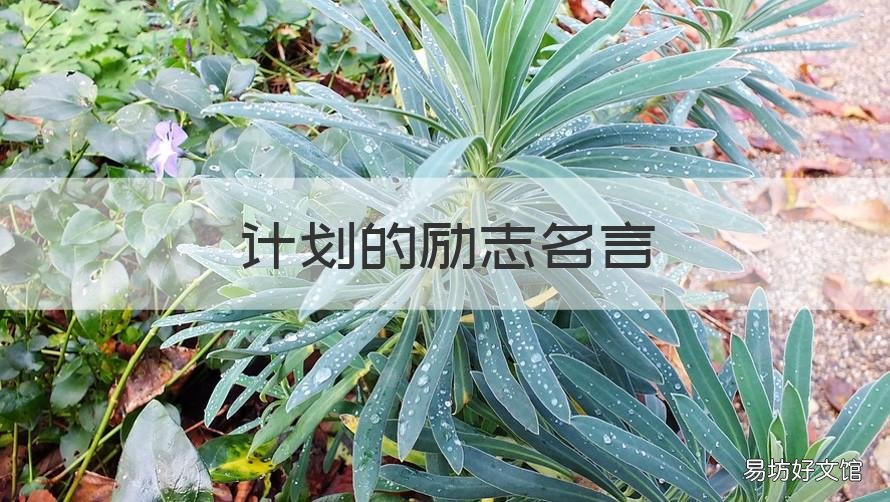 计划的励志名言 计划表激励名言