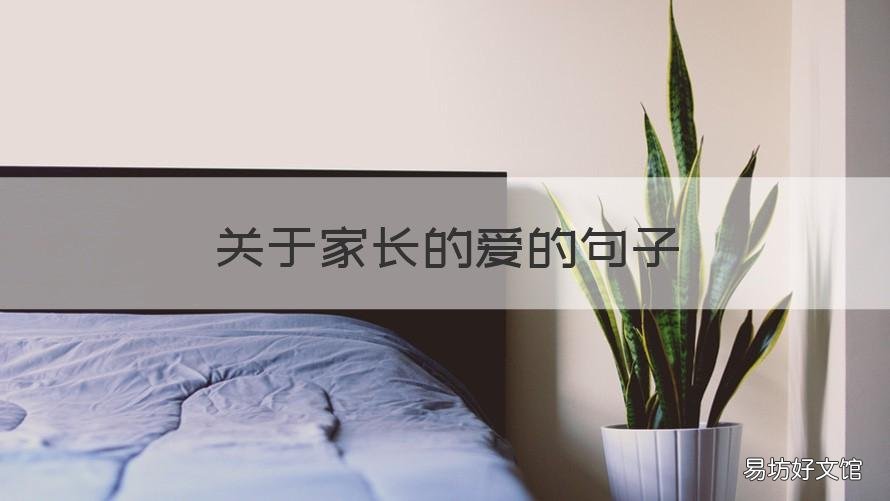 关于家长的爱的句子 我爱家长的句子
