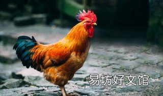 六畜是指哪六畜 六畜兴旺中的六畜是指哪六畜