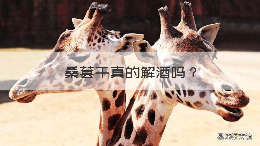 桑葚干真的解酒吗 吃桑葚干解酒是真的吗