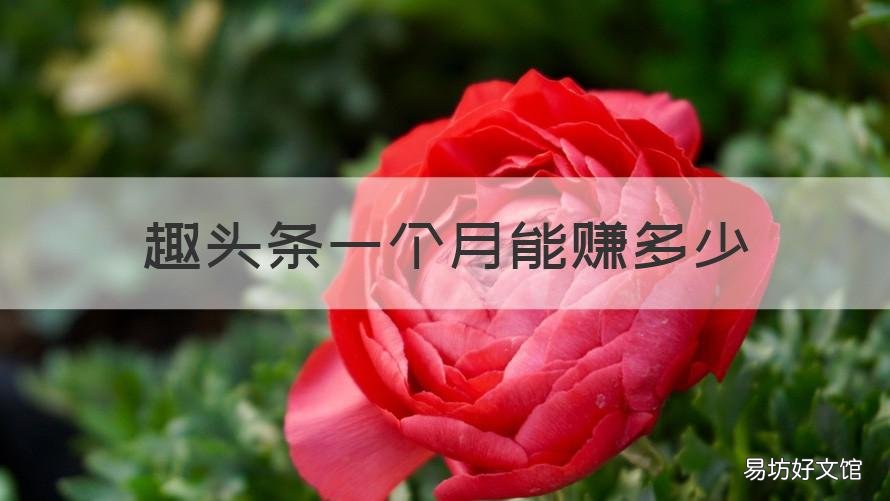 趣头条一个月能赚多少 趣头条一个月能赚多少金币