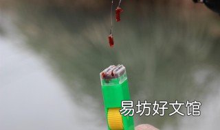 红虫拉饵怎么调漂 红虫拉饵怎么调漂红虫伴侣