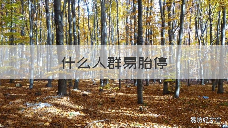 什么人群易胎停 哪种人容易胎停