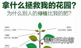 硫酸钾肥料的作用 硫酸钾肥料的作用是什么