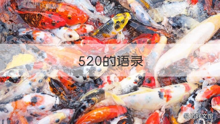 520的语录 520 语录