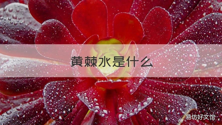 黄棘水是什么 黄棘水是什么哪里可以买
