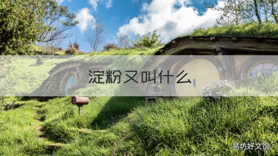 淀粉又叫什么 玉米淀粉又叫什么