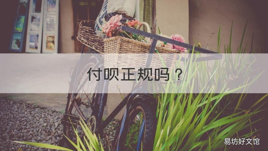 付呗正规吗 付呗怎么样找哪个付呗正规