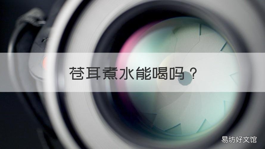 苍耳煮水能喝吗 苍耳煮水能喝吗百度百科