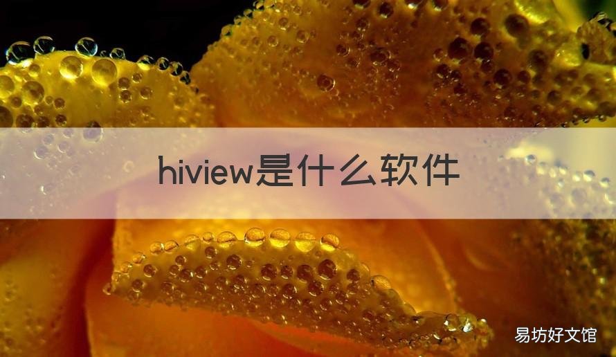 hiview是什么软件 hive是一款什么软件