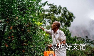 樹(shù)最怕什么農(nóng)藥 樹(shù)最怕什么農(nóng)藥殘留