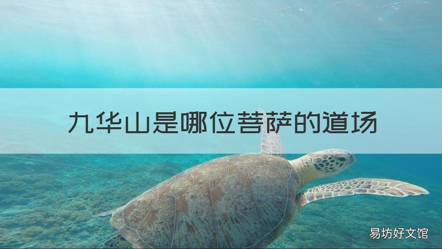 九华山是哪位菩萨的道场 九华山是哪位菩萨的道场?九华山属于高原吗?