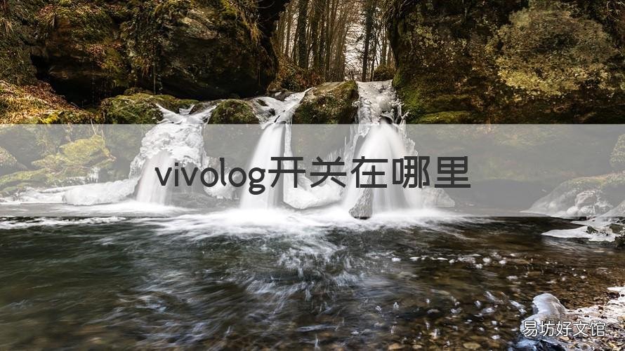 vivolog开关在哪里 vivolog开关在哪里关闭