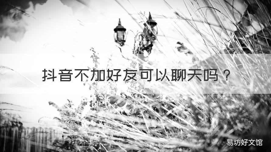 抖音不加好友可以聊天吗 抖音没有加好友能聊天吗
