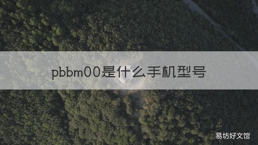 pbbm00是什么手机型号 pbdm00是什么手机型号