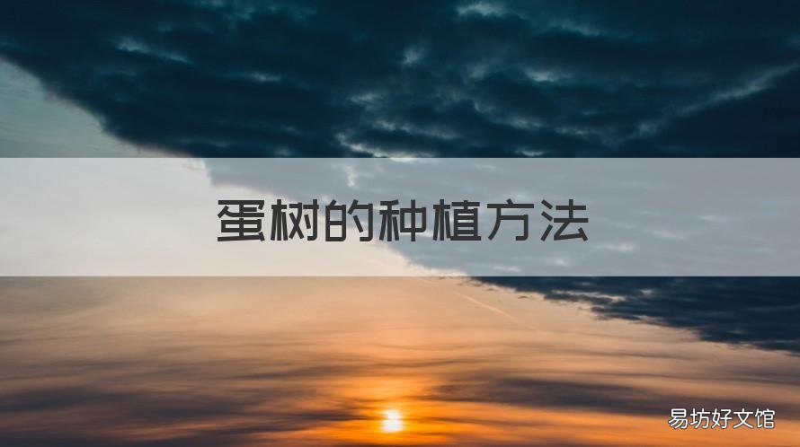 蛋树的种植方法 怎样种植鸡蛋树