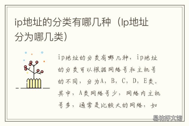 ip地址的分类有哪几种 ip地址有哪几种类型