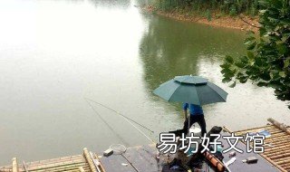 长江翘嘴钓法 翘嘴 钓法