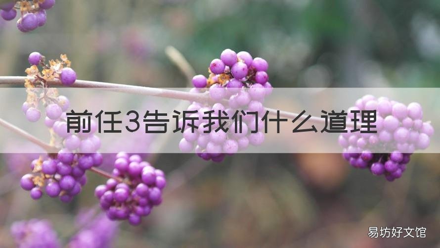 前任3告诉我们什么道理 前任3告诉我们一个什么道理呢?