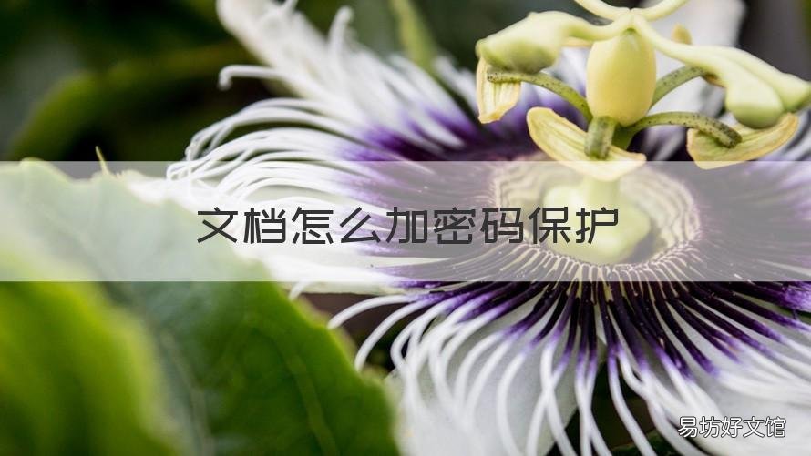文档怎么加密码保护 word文档怎么加密码保护