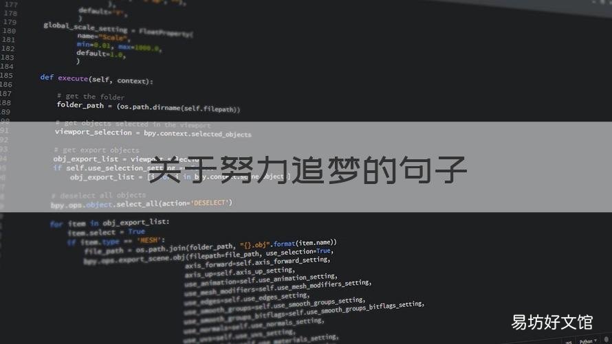 关于努力追梦的句子 关于努力追梦的语段