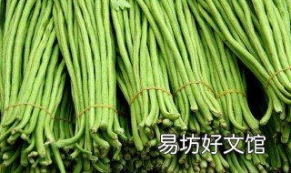 什么是豆角 什么是豆角眼