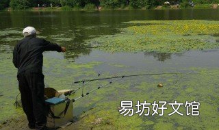 河边钓鱼技巧 河里钓鱼的技巧
