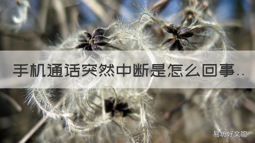 手机通话突然中断是怎么回事