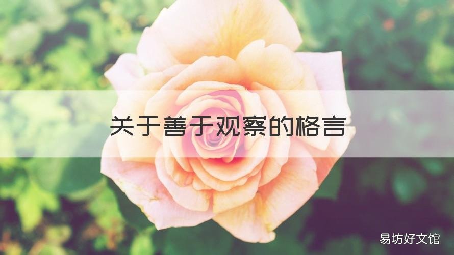 关于善于观察的格言 关于善于观察的名句
