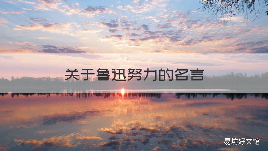 关于鲁迅努力的名言 关于鲁迅努力的名言有哪些