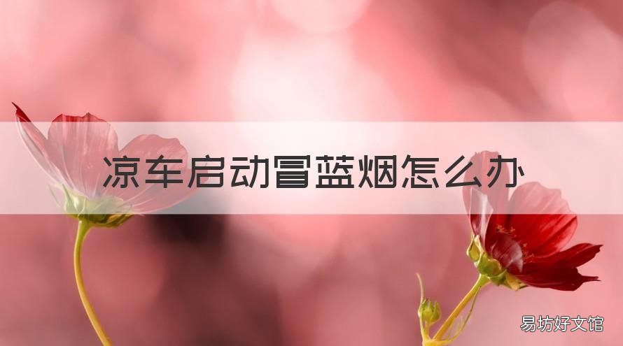 凉车启动冒蓝烟怎么办 凉车起动冒蓝烟
