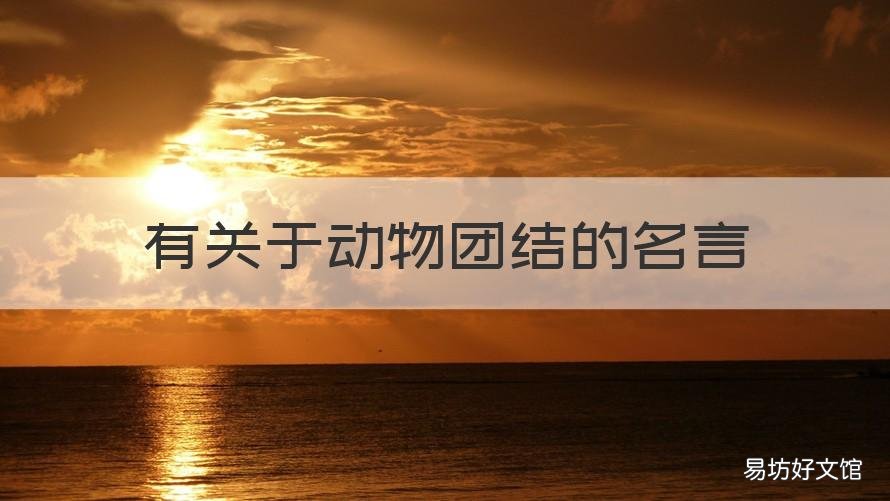 有关于动物团结的名言 有关于动物团结的名言警句