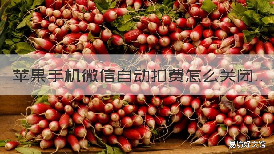 苹果手机微信自动扣费怎么关闭 苹果手机的微信自动扣费怎么关闭
