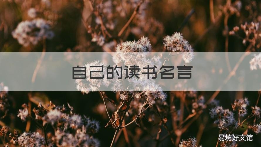 自己的读书名言 自己的读书名言怎么写