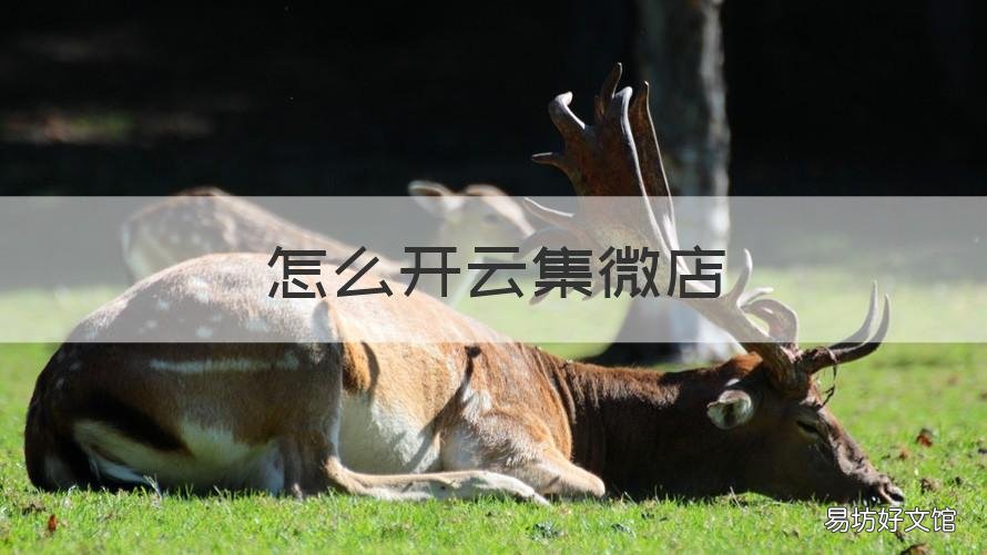 怎么开云集微店 云集微店怎么邀请别人