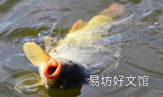 调平水的正确方法 什么情况下适合调平水