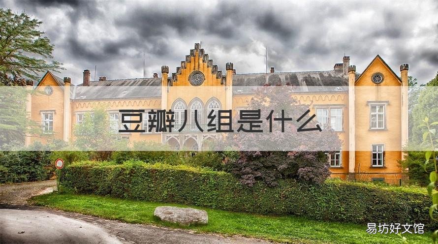 豆瓣八组是什么 豆瓣八组是什么意思