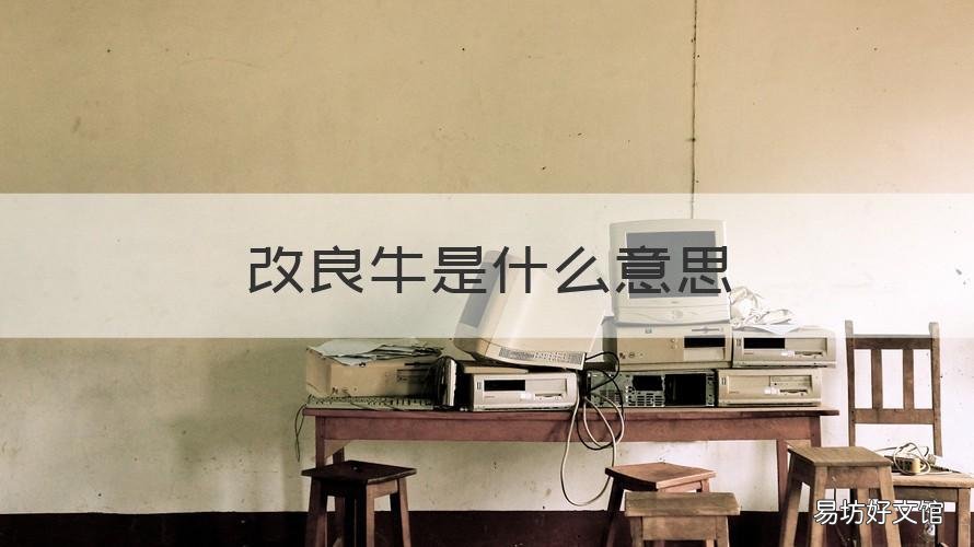 改良牛是什么意思 什么叫改良肉牛