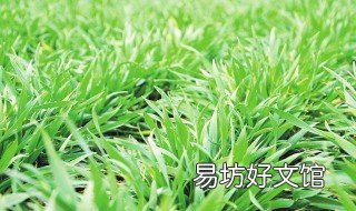 小麦是怎么生长分蘖的 小麦多长时间分蘖