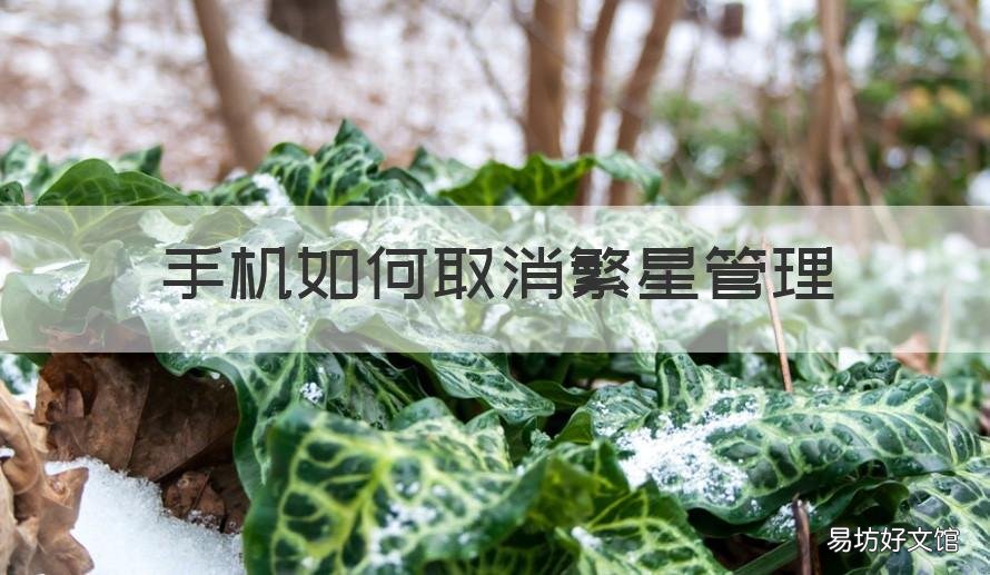 手机如何取消繁星管理 繁星直播歌单怎么删除