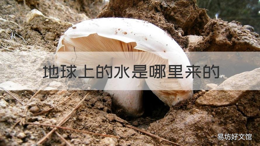 地球上的水是哪里来的 地球上的水是从哪儿来