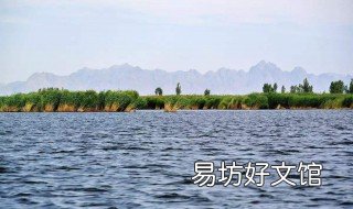 我在纳林湖等着你原唱 我在纳林湖等着你原唱完整版演唱