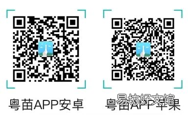 顺德妇幼保健院国产二价HPV疫苗怎么预约? 顺德妇幼保健院国产二价hpv疫苗