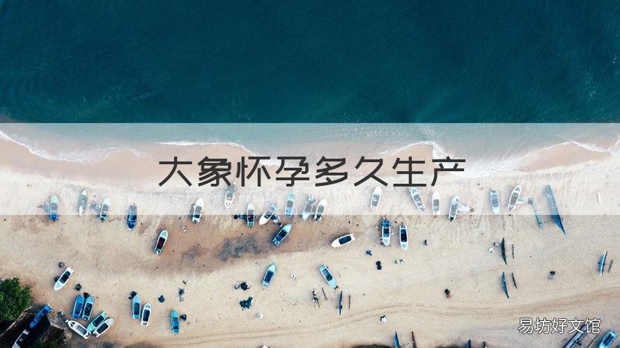 大象怀孕多久生产 大象孕期多少天生产