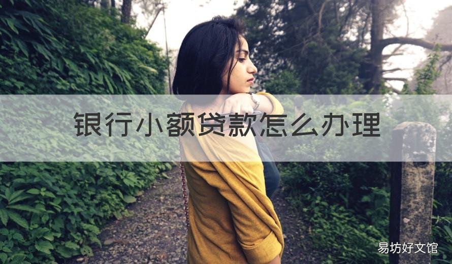 银行小额贷款怎么办理 如何申请银行小额贷款