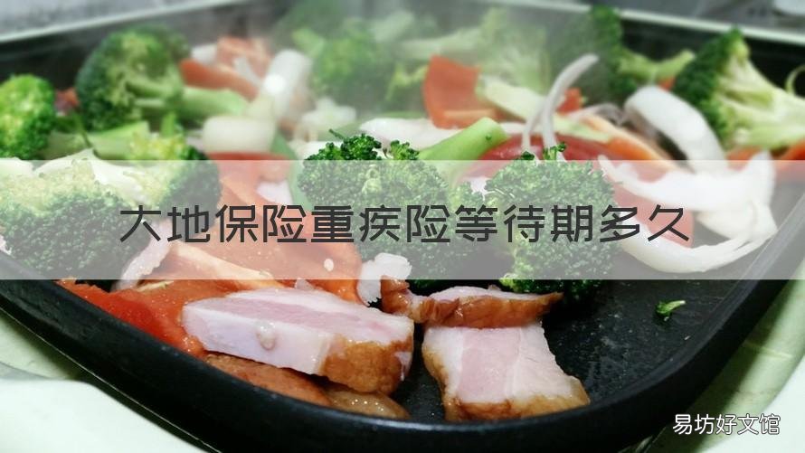 大地保险重疾险等待期多久 大地保险重大疾病险