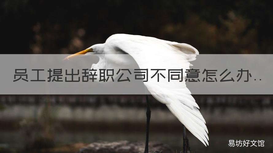 员工提出辞职公司不同意怎么办